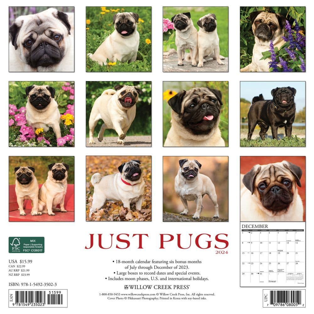 Just Pugs 2025 Wall Calendar