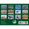 image Waterfowl 2025 Wall Calendar Alt1