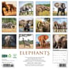 image Elephants 2025 Wall Calendar