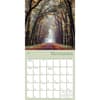 image Enchanted Pathways Photography 2026 Wall Calendar Third  Alternate Image