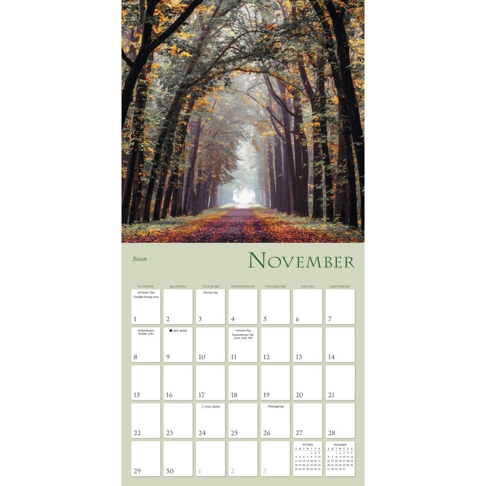Enchanted Pathways Photography 2026 Wall Calendar Third  Alternate Image