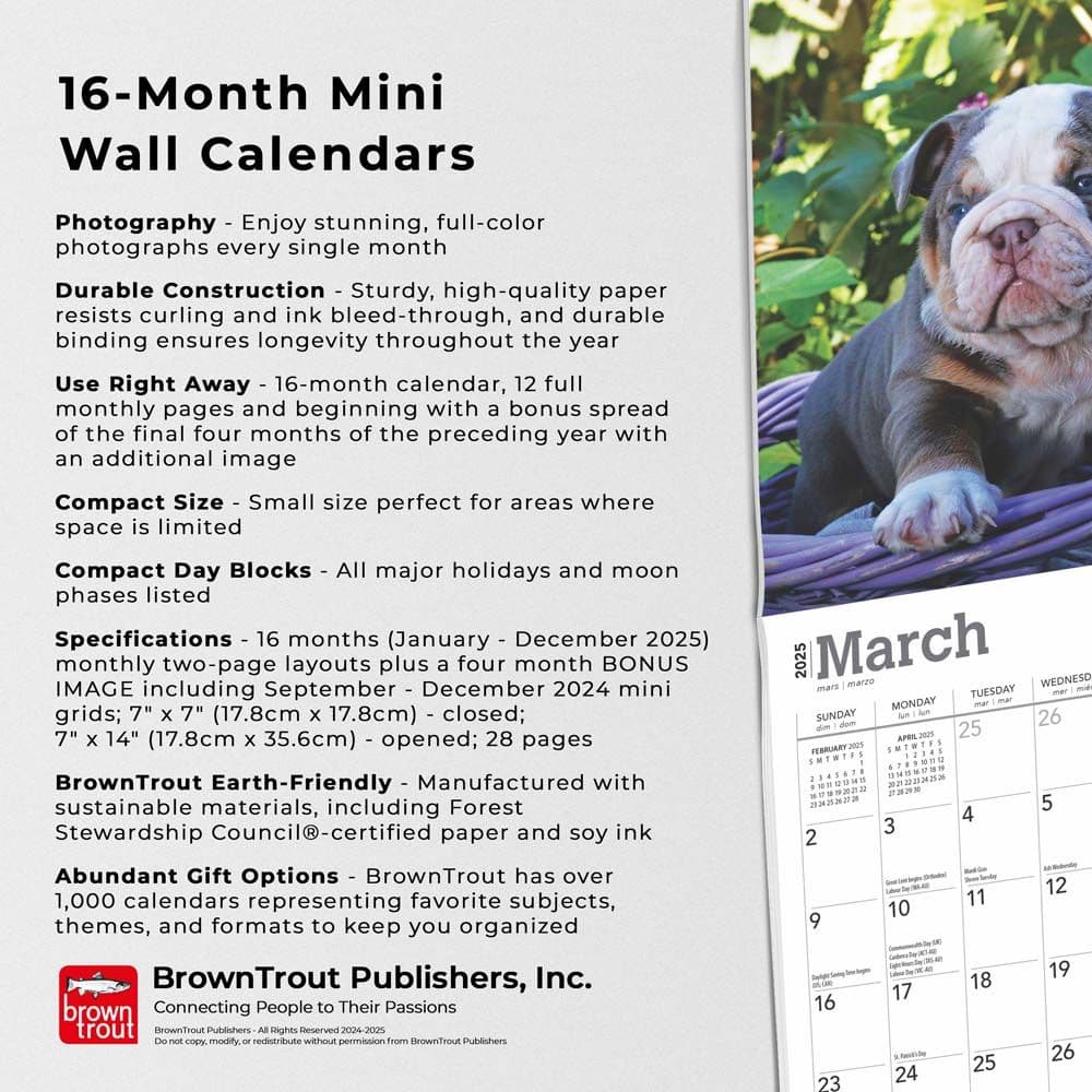 Bulldog Puppies 2025 Mini Wall Calendar