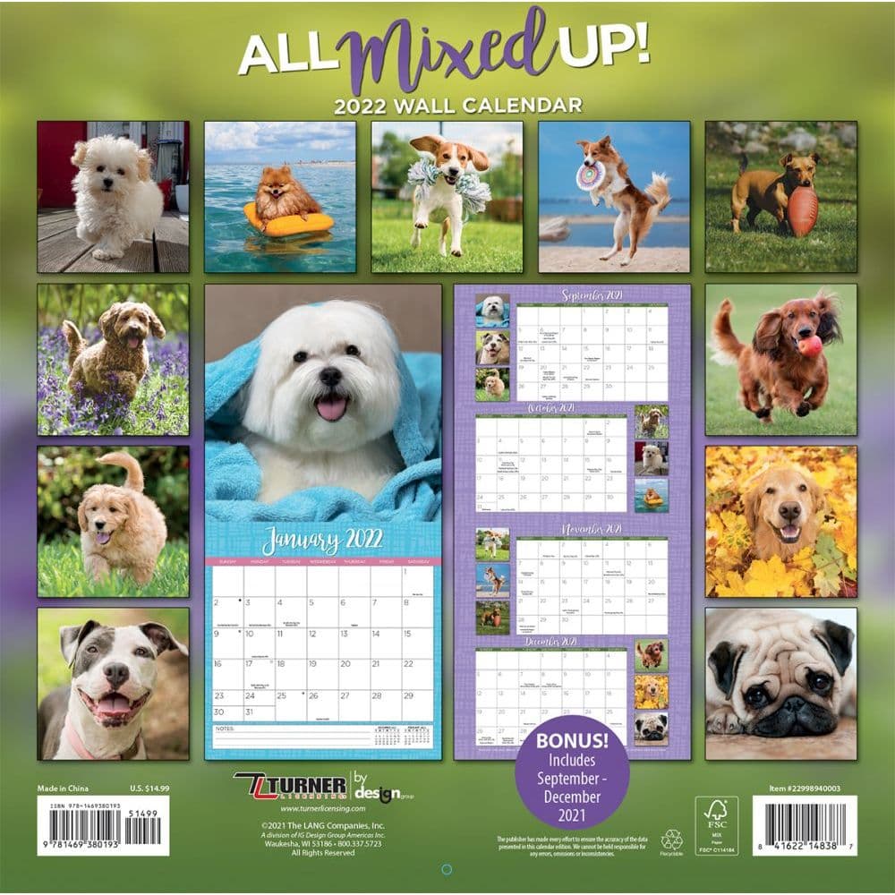 All Mixed Up! 2022 Wall Calendar - Calendars.com