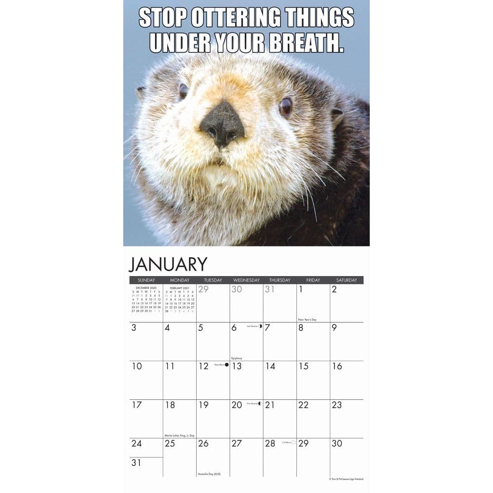 In Otter News Wall Calendar Calendars