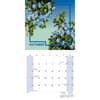 image New York Botanical Gardens Illustrated 2026 Wall Calendar Fourth Alternate Image