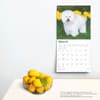 image Bichon Frise 2025 Wall Calendar Third Alternate Image width=&quot;1000&quot; height=&quot;1000&quot;