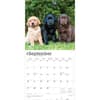 image Lab Retriever Puppies 2026 Wall Calendar