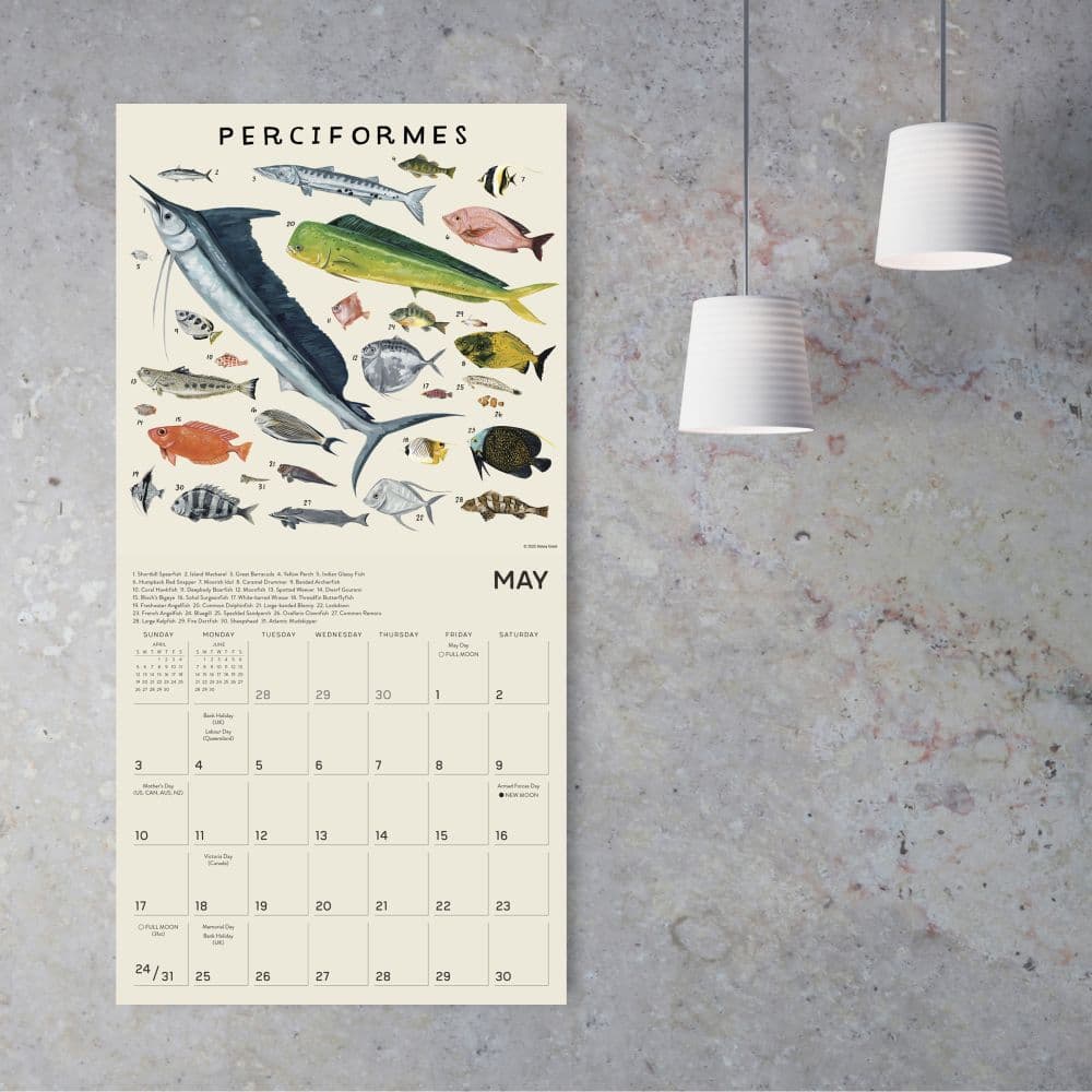 Illustrated Animal Kingdom 2026 Wall Calendar Fourth Alternate Image