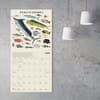 image Illustrated Animal Kingdom 2026 Wall Calendar Fourth Alternate Image