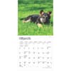 image German Shepherd Puppies 2025 Mini Wall Calendar Second Alternate Image width=&quot;1000&quot; height=&quot;1000&quot;