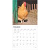 image Roosters 2025 Wall Calendar Second Alternate Image