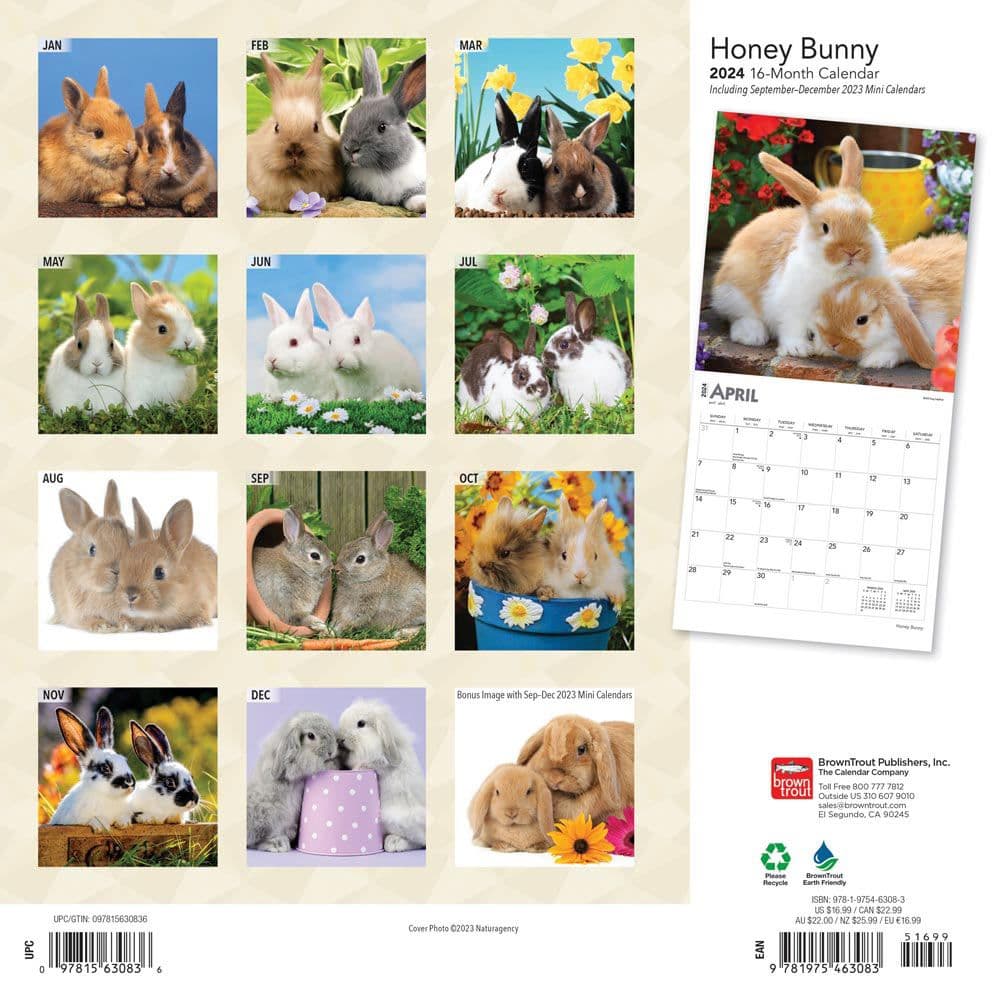 Honey Bunny 2025 Wall Calendar