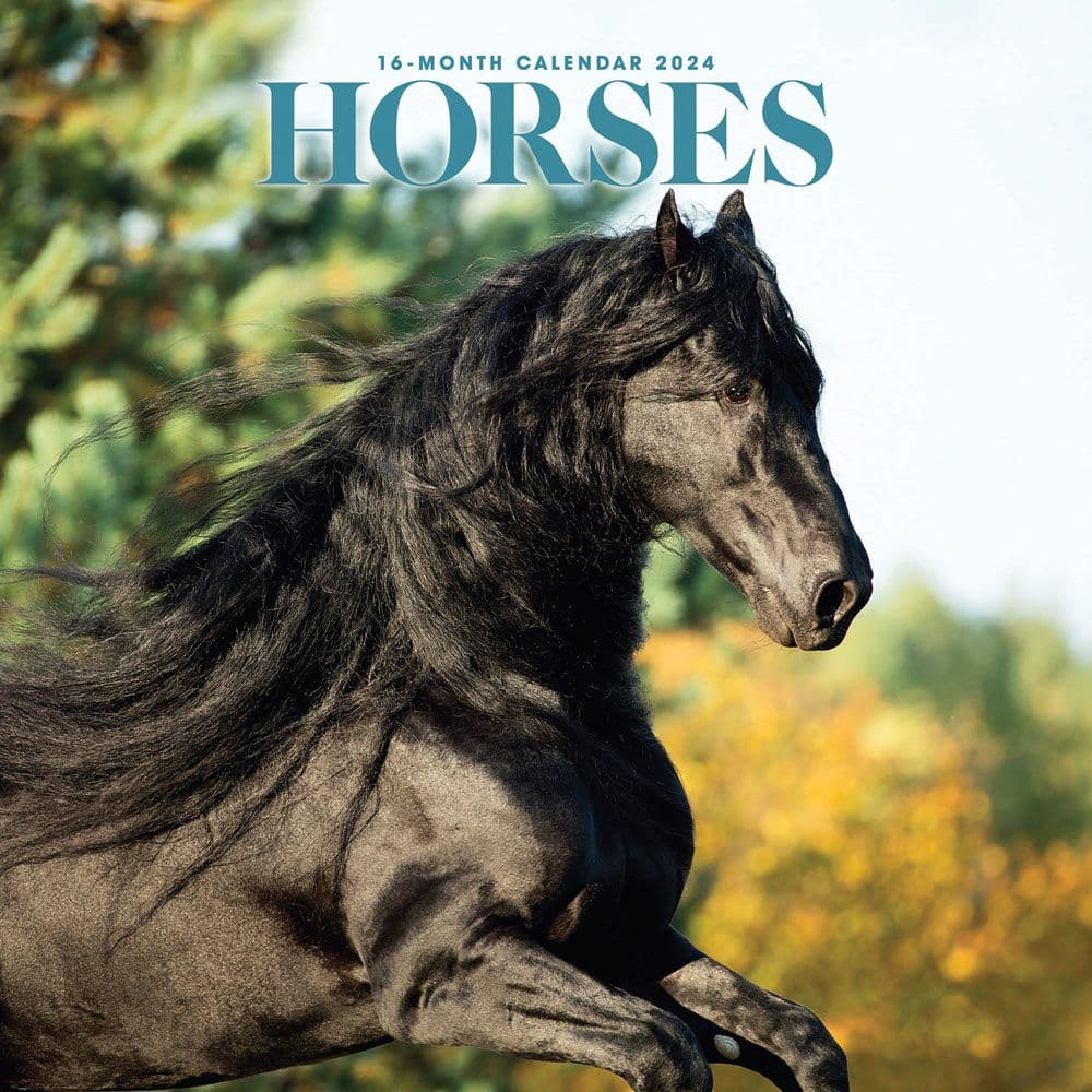 Horses 2024 Wall Calendar Calendars Com   8f93d96a B4b3 4d0f Adc6 978c767097da