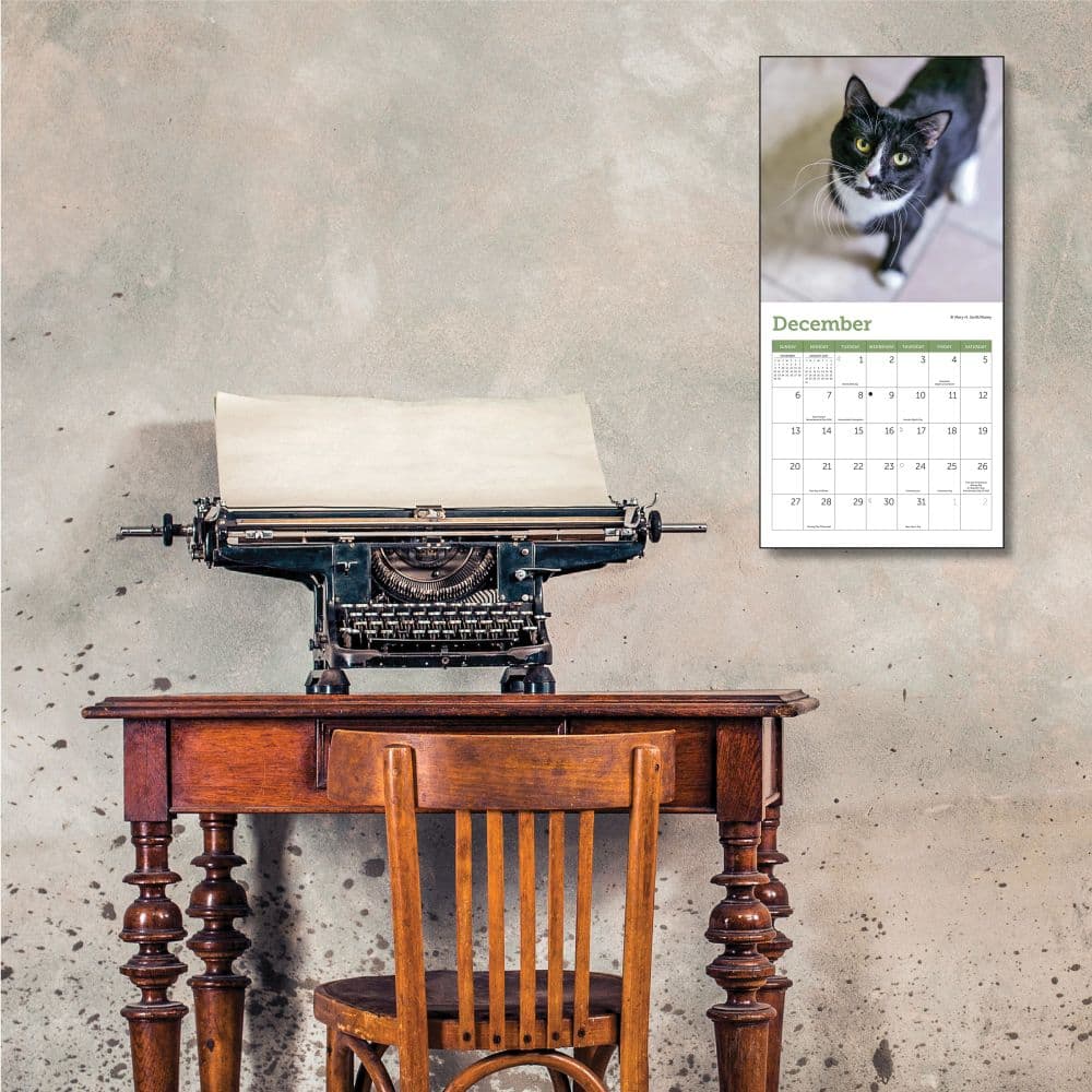 Cats 2026 Mini Wall Calendar Fourth Alternate image
