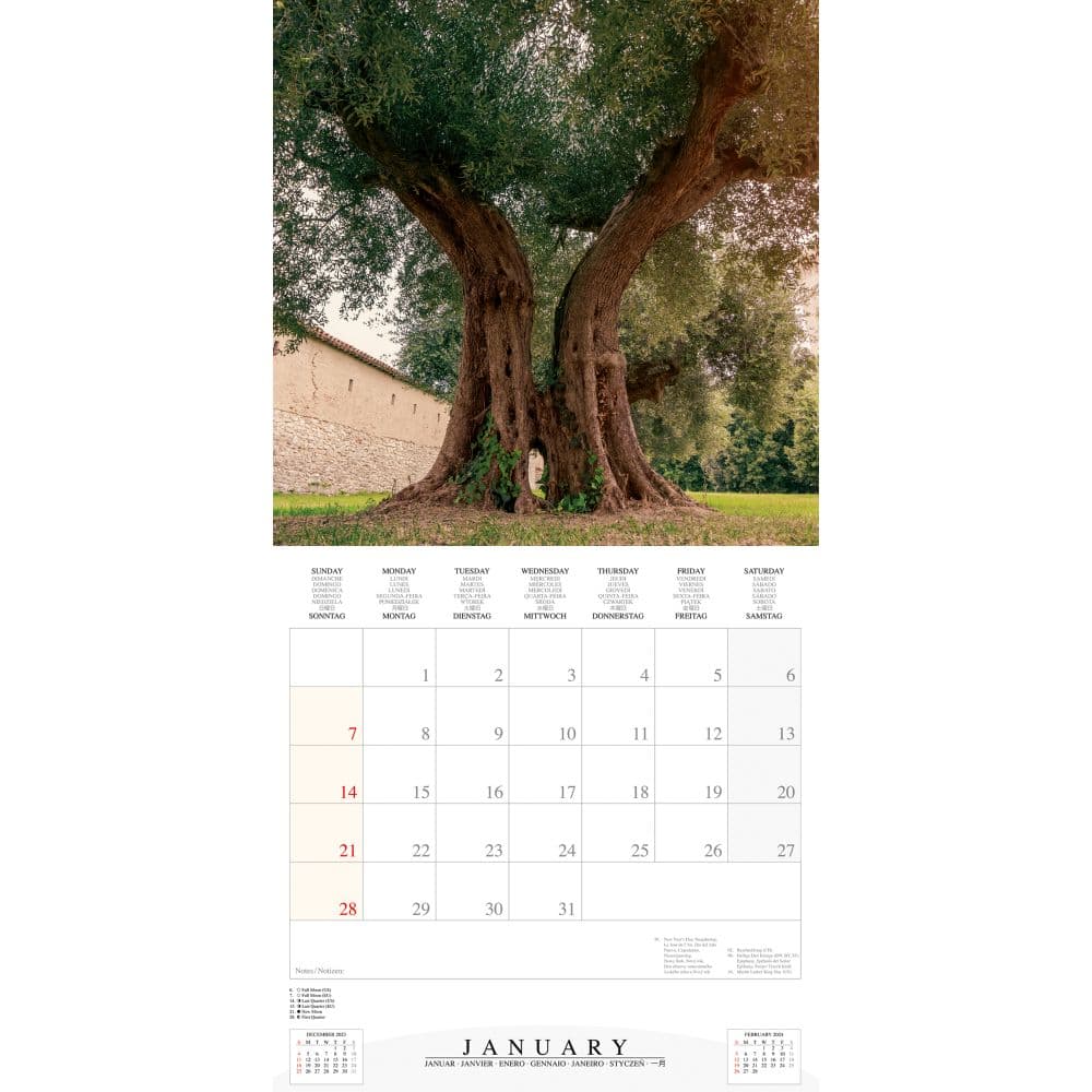 Trees 2024 Wall Calendar Second Alternate Image width=&quot;1000&quot; height=&quot;1000&quot;