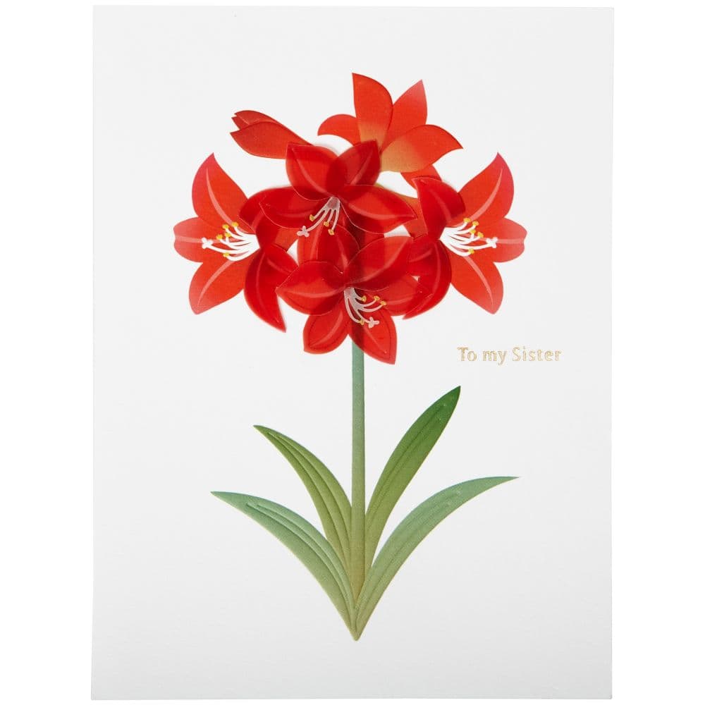 Vellum Amaryllis Christmas Card First Alternate Image width="1000" height="1000"