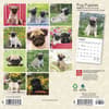 image Pug Puppies 2024 Mini Wall Calendar First Alternate Image width=&quot;1000&quot; height=&quot;1000&quot;