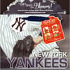 image New York Yankees Medium Gogo Gift Bag by MLB Alternate Image 2