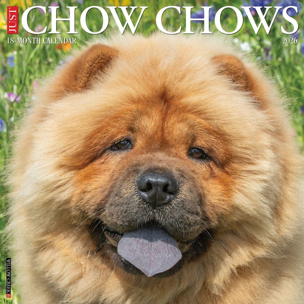 Chow Chows 2026 Wall Calendar  Main Image