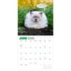 image Chonkers 2025 Wall Calendar Second Alternate Image width="1000" height="1000"