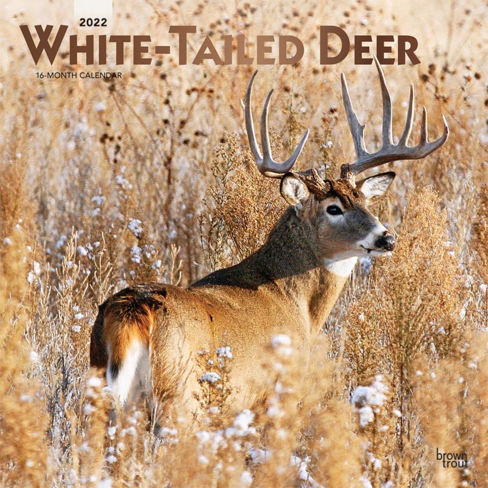 Whitetail Deer 2022 Calendar