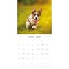image Welsh Corgis 2027 Wall Calendar Second Alternate Image