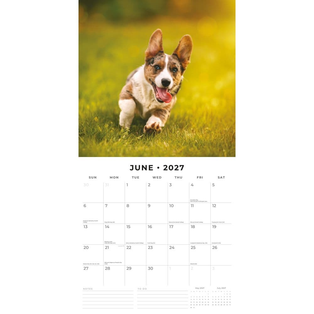 Welsh Corgis 2027 Wall Calendar Second Alternate Image