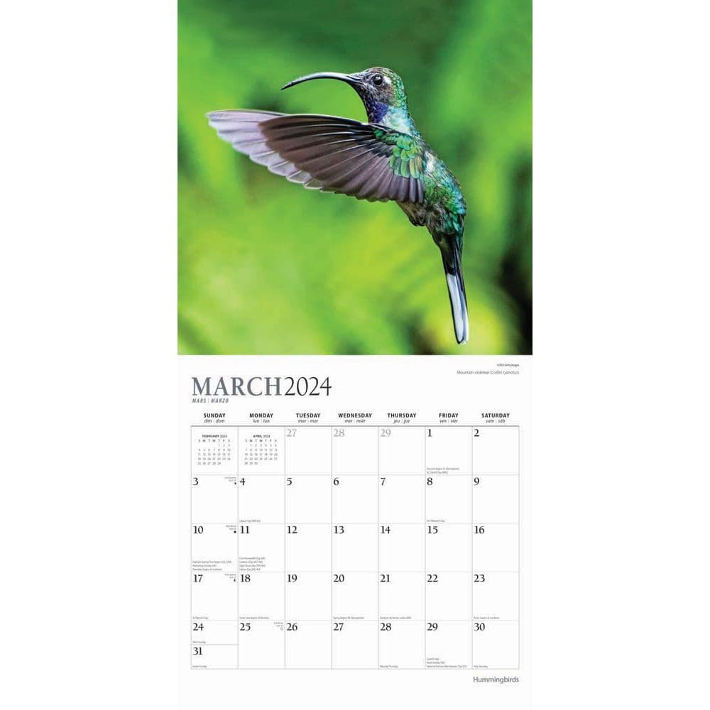 Hummingbirds 2024 Wall Calendar