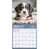 image Doodle Dogs Photo 2027 Wall Calendar