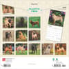 image Shar-Pei 2025 Wall Calendar First Alternate Image