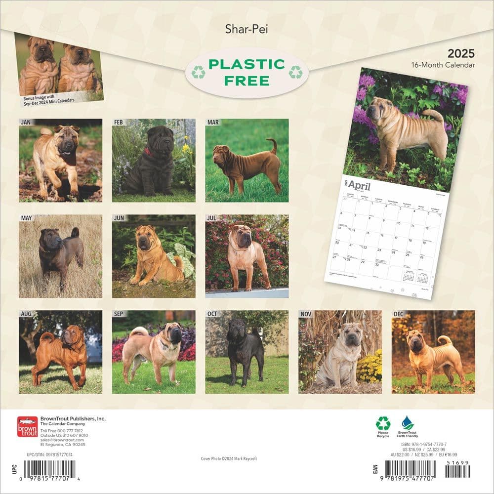 Shar-Pei 2025 Wall Calendar First Alternate Image