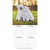 image Playful Puppies Photo 2025 Mini Wall Calendar