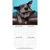 image Doggy Want A Treat 2025 Wall Calendar