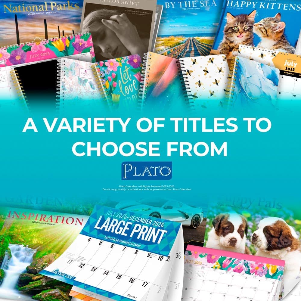 Yoga Puppies and Kittens 2026 Mini Wall Calendar Eighth Alternate Image