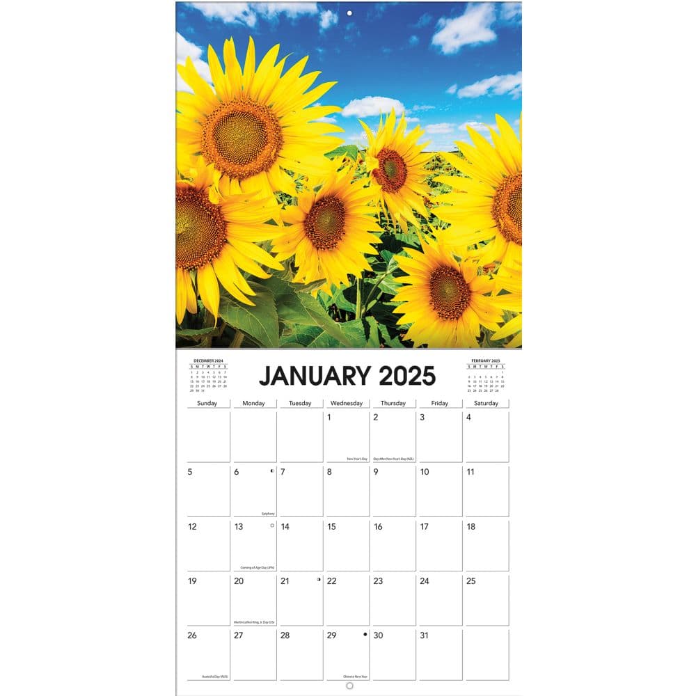Sunflowers 2025 Wall Calendar