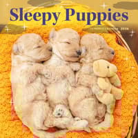 image Pooped Puppies 2026 Wall Calendar Main Image