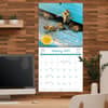 image Busy Bees 2025 Wall Calendar Fourth Alternate Image