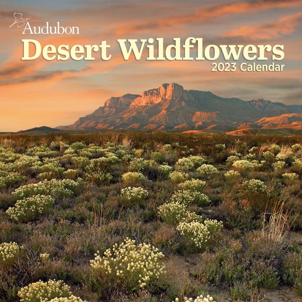Audubon Desert Wildflowers 2023 Wall Calendar