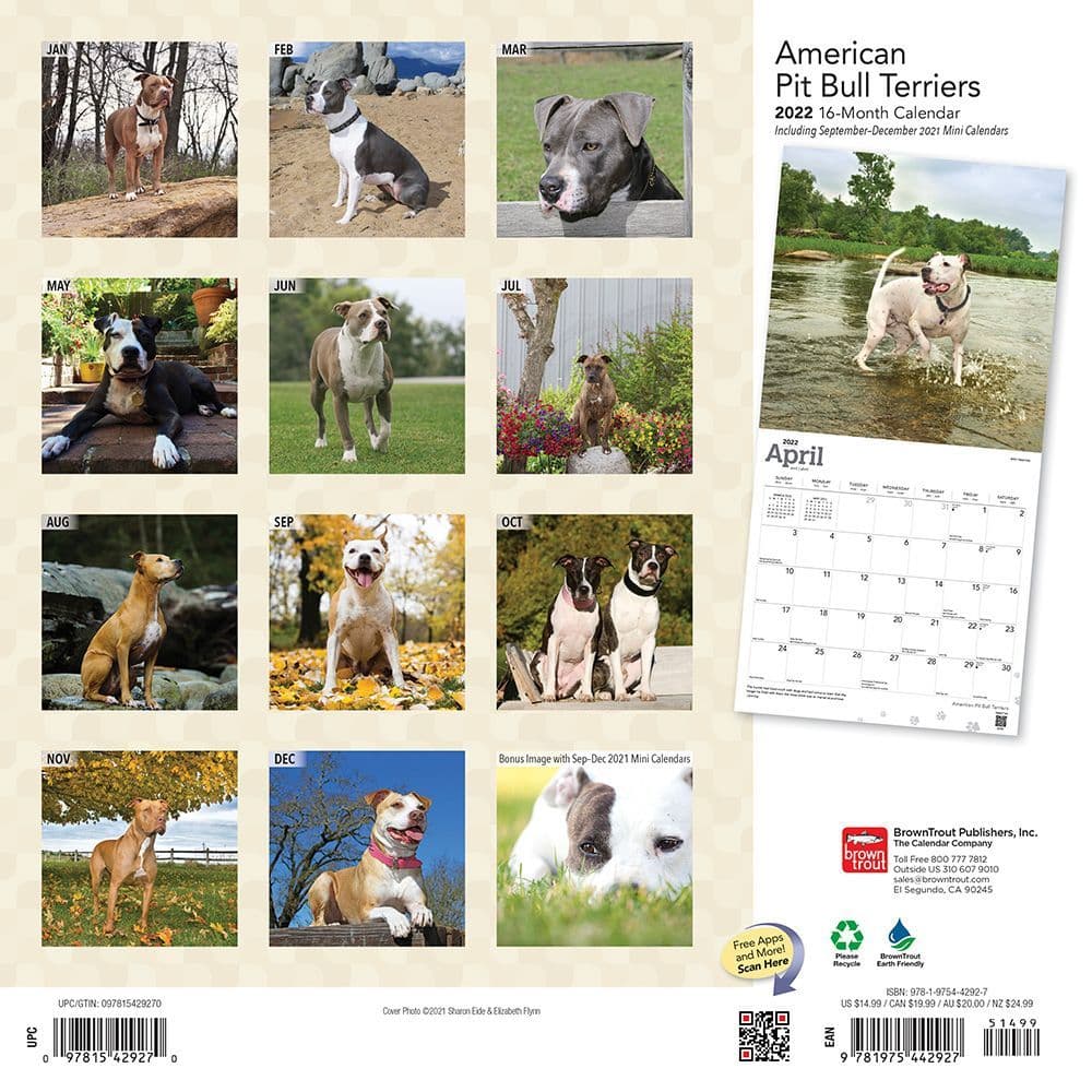 Made in the USA American Pit Bull Terrier Premium Wall Calendar 2022 