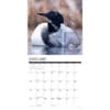 image Loons 2025 Wall Calendar Second Alternate Image width="1000" height="1000"