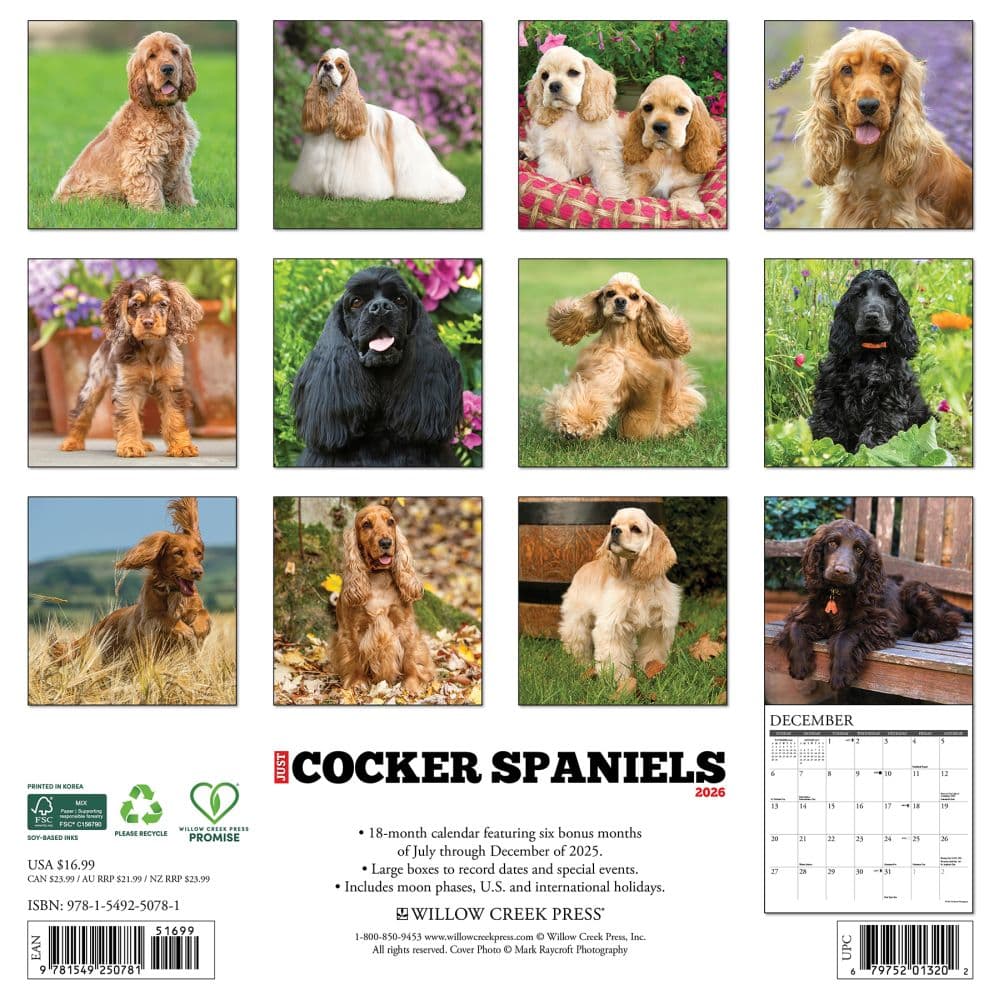 Just Cocker Spaniels 2026 Wall Calendar First Alternate Image
