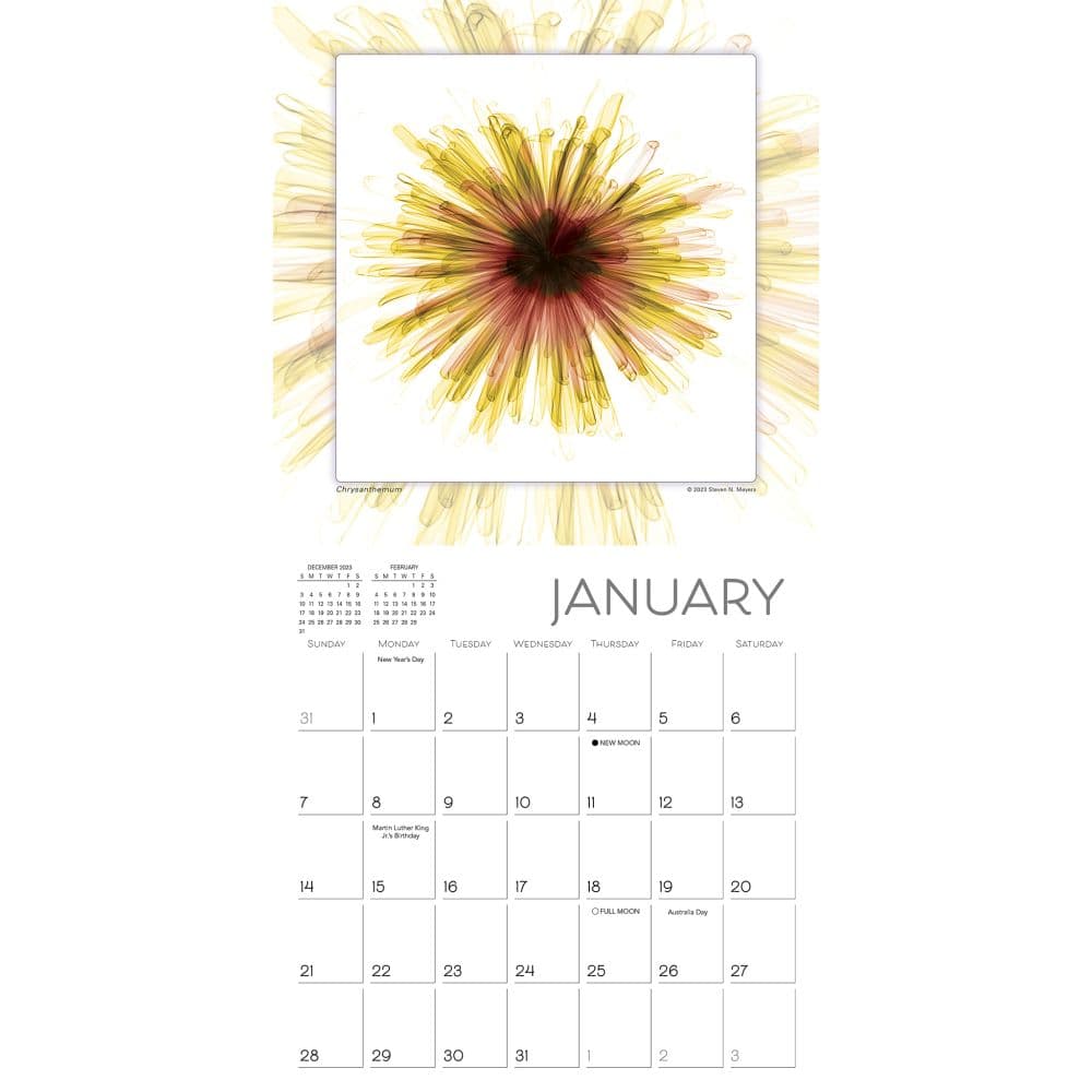 Flower Spirits 2024 Mini Wall Calendar