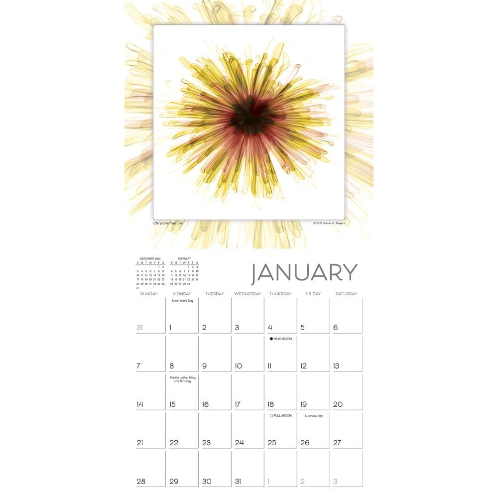 Flower Spirits 2024 Mini Wall Calendar Alternate Image 2