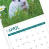 image Hamsters 2024 Wall Calendar
