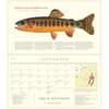 image Trout of North America 2027 Wall Calendar