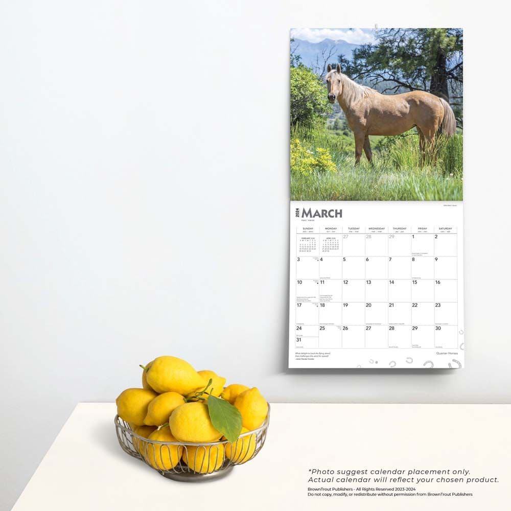 Horses Quarter 2024 Wall Calendar