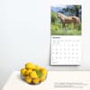image Horses Quarter 2024 Wall Calendar