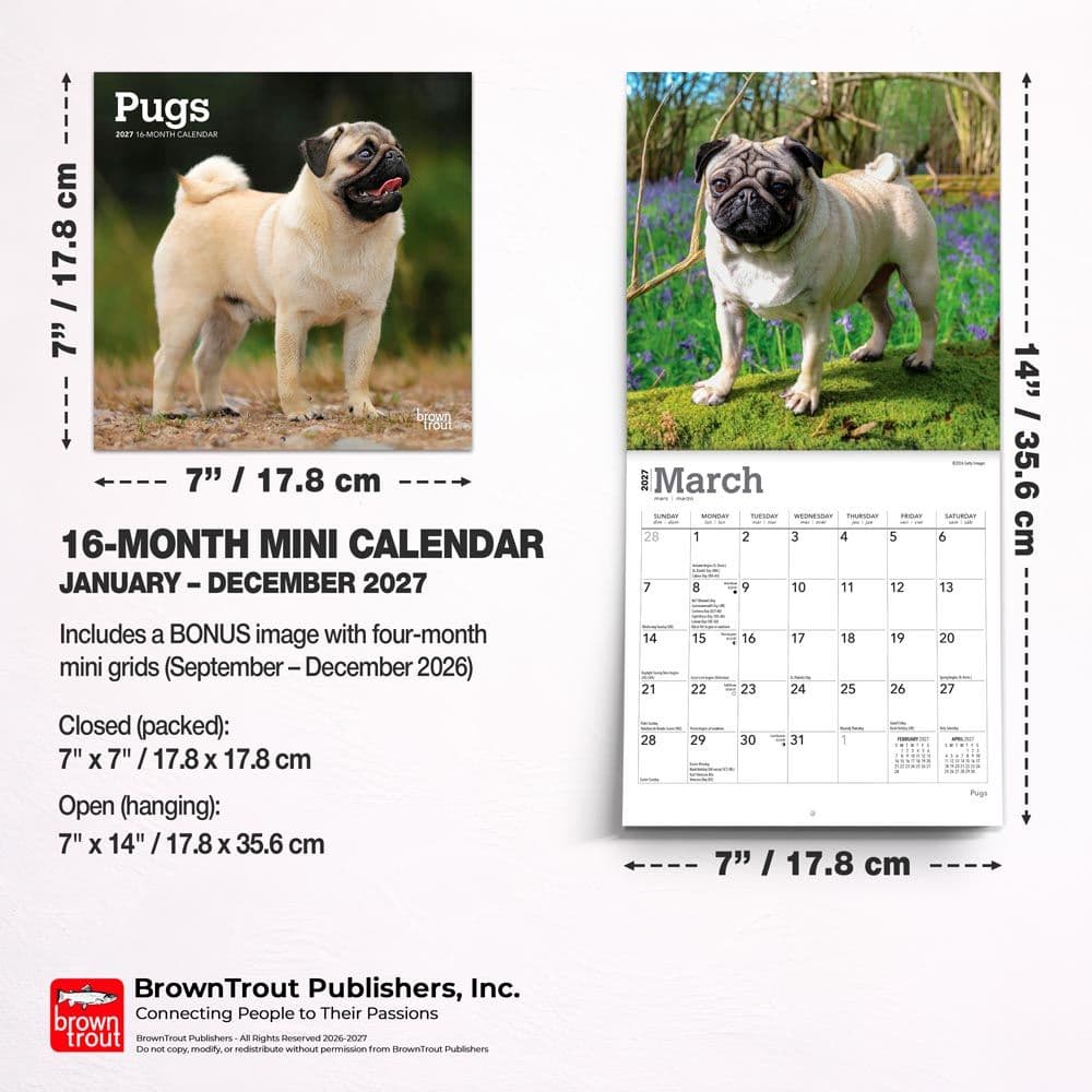 Pugs 2027 Mini Wall Calendar Sixth Alternate Image