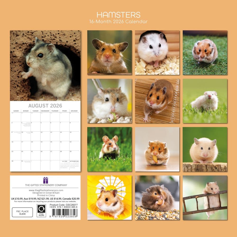 Hamsters 2026 Wall Calendar First Alternate Image