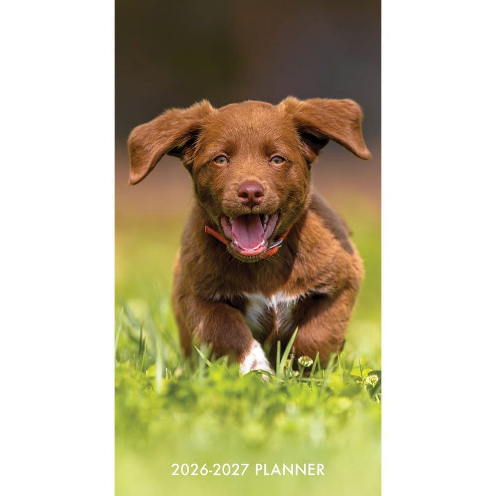 Puppy Love 2Year Pocket 2026 Planner Main Image
